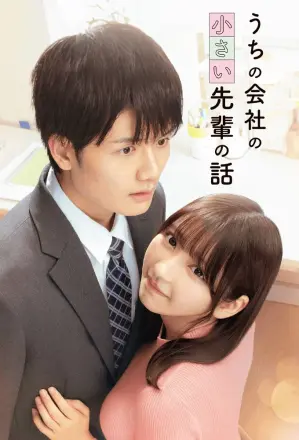 公司里的小小前辈