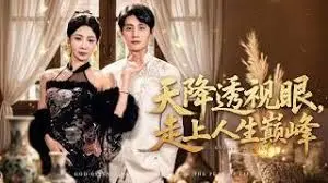 天降透视眼，走上人生巅峰