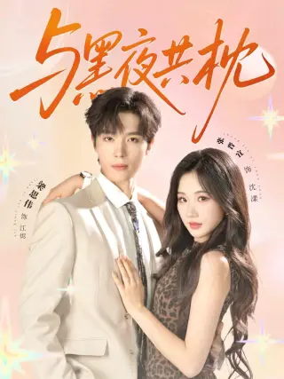 与黑夜共枕