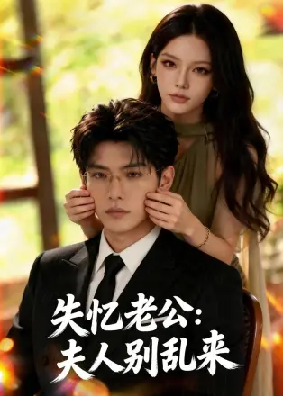 失忆老公：夫人别乱来