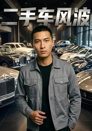 二手车风波