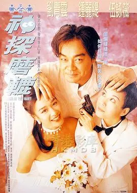 神探磨辘(1994)