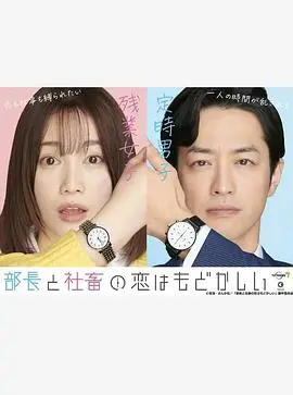 部长和社畜的恋情令人着急(2022)