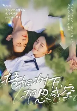 梧桐树下，相思成空