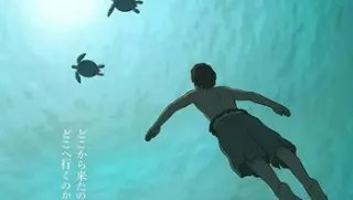 24、紅烏龜小島物語2016