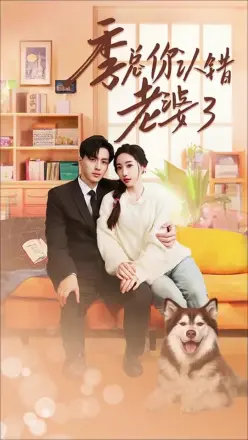 季总你认错老婆了(远在眼前的你)