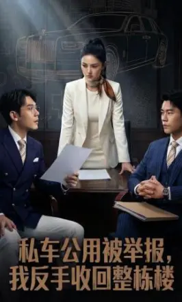 私车公用被举报,我反手收回整栋楼