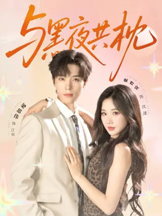 与黑夜共枕
