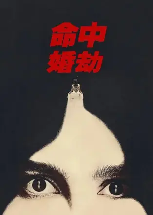 命中婚劫