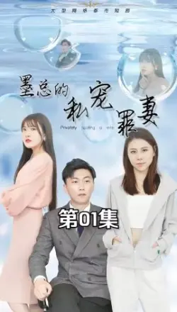墨总的私宠罪妻