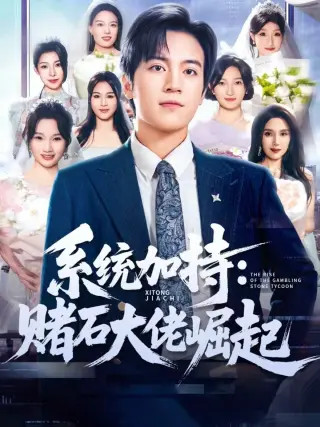 统加持：赌石大佬崛起 少年赌神：从原石到顶流