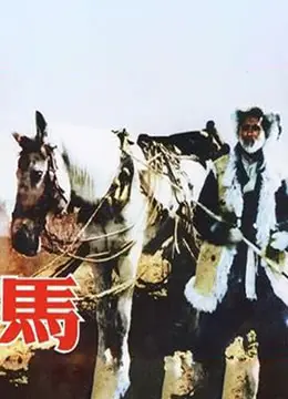 马 1956