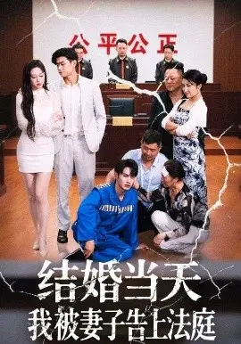 结婚当天我被妻子告上法庭