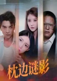 枕边谜影&amp;我撞破了妻子的秘密