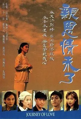 亲恩情未了(1995)