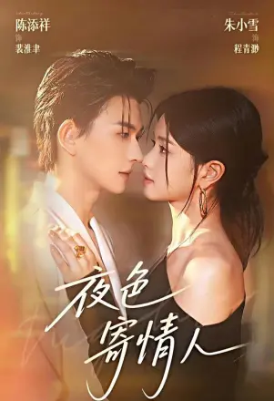 夜色寄情人