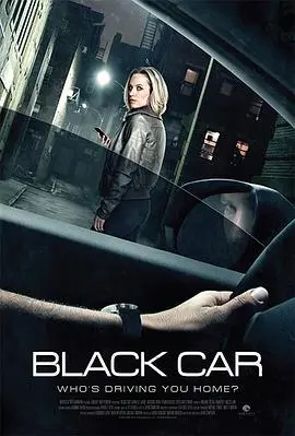 上错黑车(2016)