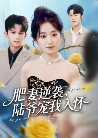肥妻逆袭,陆爷宠我入怀