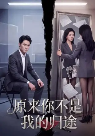 原来你不是我的归途