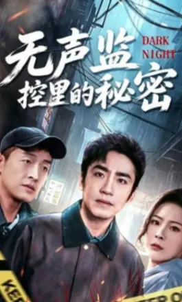 无声监控里的秘密