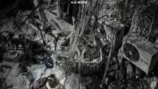 智齿1080p国粤双语bd中字