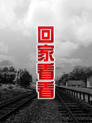 回家看看