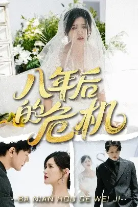 八年后的危机