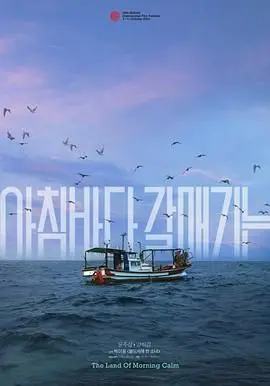 晨海的海鸥