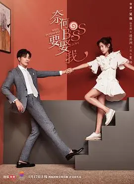 奈何boss要娶我2