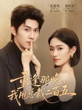 重逢那晚，我甩总裁二百五