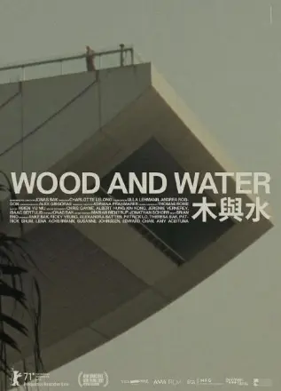 木与水(2021)