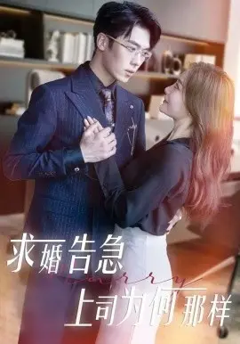 求婚告急上司为何那样