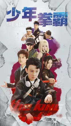 少年拳霸