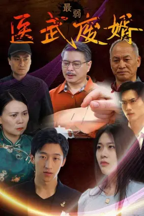 最弱医武废婿