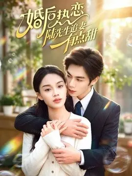婚后热恋陆先生追妻有点甜