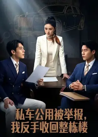 私车公用被举报,.我反手收回整栋楼
