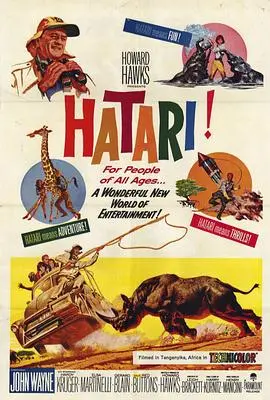 哈泰利(1962)