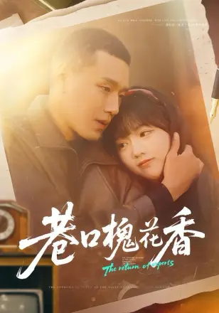 巷口槐花香