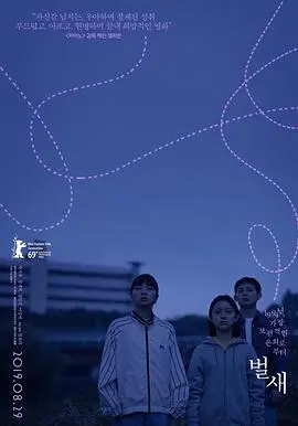 蜂鸟