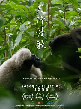 天行情歌中配版