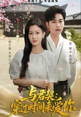 与君契:穿过时间来爱你