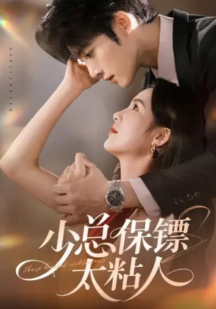 少总保镖太粘人