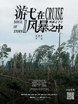 游弋在风暴之中