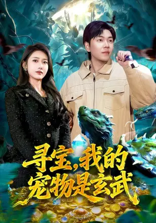 寻宝，我的宠物是玄武