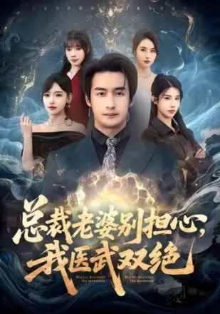 总裁老婆别担心，我医武双绝