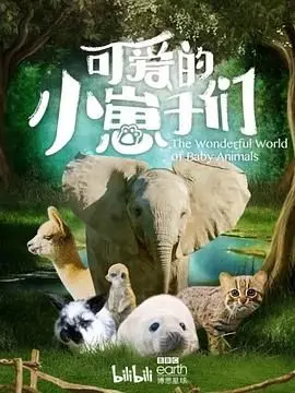 可爱的小崽子们 中文版