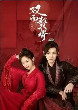 双面赘婿第2季