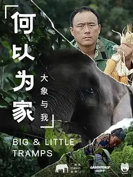 何以为家:大象与我