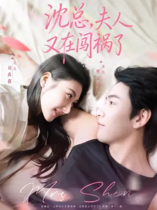 沈总，夫人又在闯祸了
