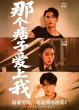 那个痞子爱上我